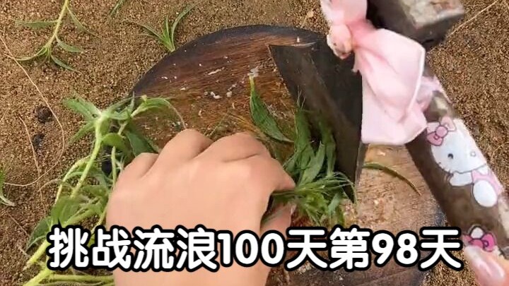 تحدي التجوال لمدة 100 يوم: اليوم 98: أمطار الصحراء