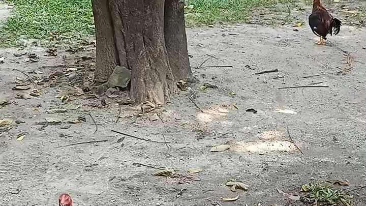 cno gusto bumili mga boss olongapp city