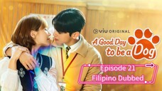 A Good Day To Be A Dog (Tagalog Dubbed) Ep21