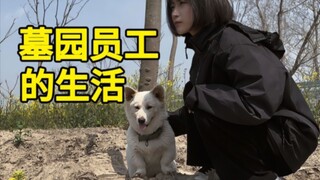 我在墓园上班，远离人烟，同事也不全是人