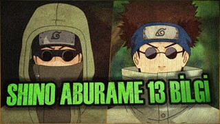 Shino Aburame Hakkinda 13 Bilgi