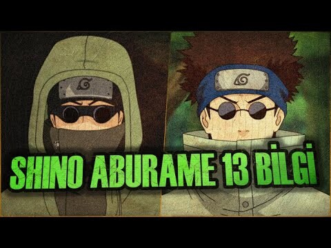 Shino Aburame Hakkinda 13 Bilgi