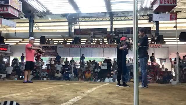 1st fight 2stag timbangan (champion