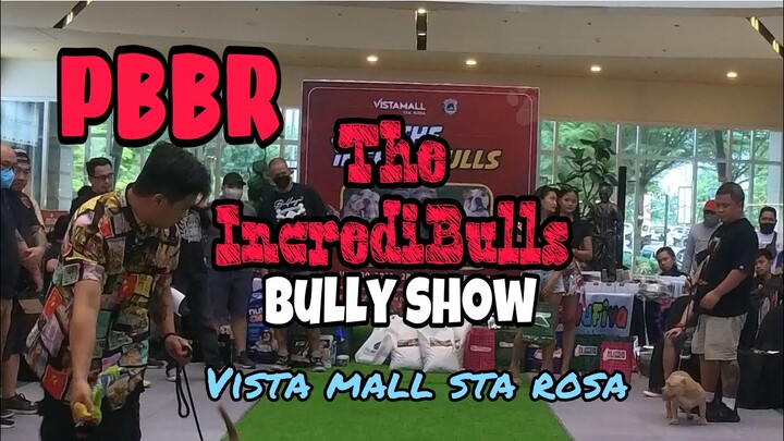 PBBR | The IncrediBulls Bully Show in Vista Mall Sta Rosa City |