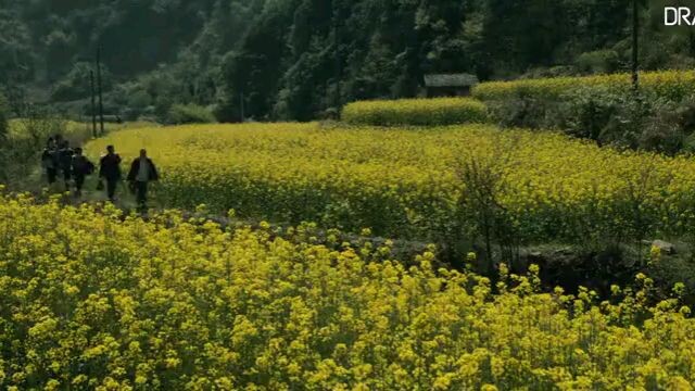 Under the Hawthorn Tree (2010) 🇯🇵