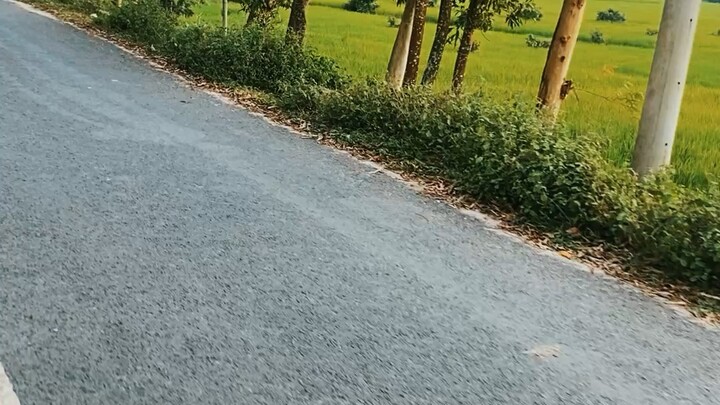 ভাইরাল ভিডিও ২০২৬