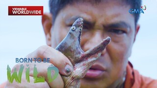 Doc Nielsen Donato, sinubukang manghuli ng mala-ahas na isda ang itsura! | Born to be Wild