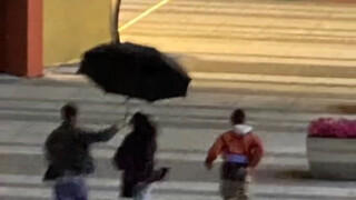 一路小跑逃离拍摄现场的热巴