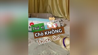 Chó không thích ôm nha!!! thucungvuinhon thucungdethuong chó kcbweb nuoidaythucung chó_cưng pet thucung