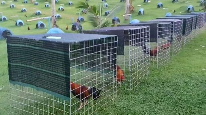 for intertainment purposes only     credits to the owner of this video