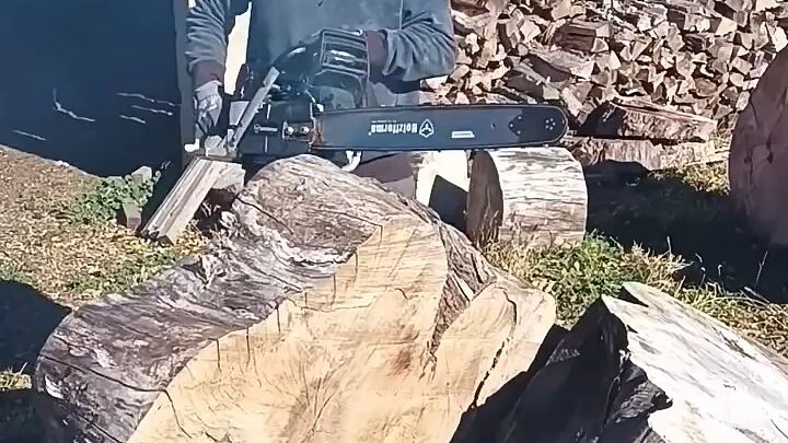 Chinese made chainsaw rips thru American wood. 121cc 42in bar