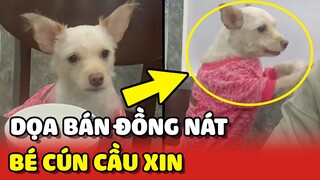 Phản ứng HOẢNG HỐT của bé cún khi Sen dọa bán cho cô ĐỒNG NÁT 😂 | Yêu Lu