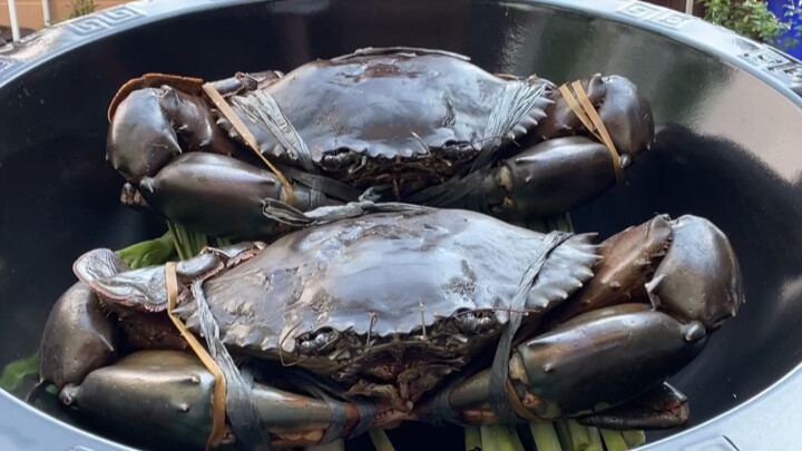 Masakan Thailand: Kepiting Raksasa Dua Ekor Penuhi Satu Panci! Daging capit kepiting sebesar paha ay