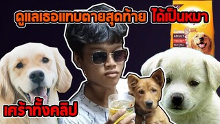 สุดท้ายเรามันก็เเค่หมาตัวนึง? (นิทานเบาสมองกับเเจ๊คกี้)