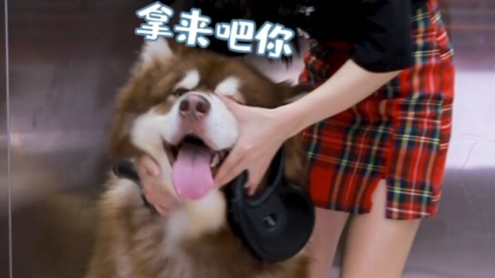 P-ge: Mom, my hair is a bit tight.