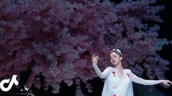 ถังซื่อยี่ | พระจันทร์เต็มดวง· "ดอกบัวแห่งความฝัน" (ระบำผ้าไหม) | ช็อตตรงพร้อมส่วนยืดเอว