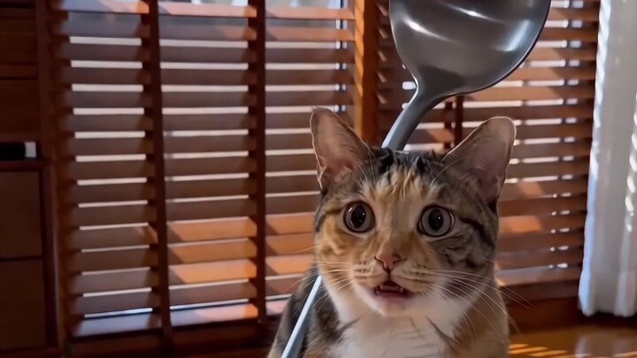 ฉันขอทานสัก 1 ช้อนได้ไหม?