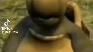 Woi
