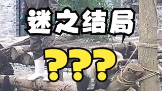 Không ai có thể đoán được kết thúc trừ khi bạn xem đến cuối!