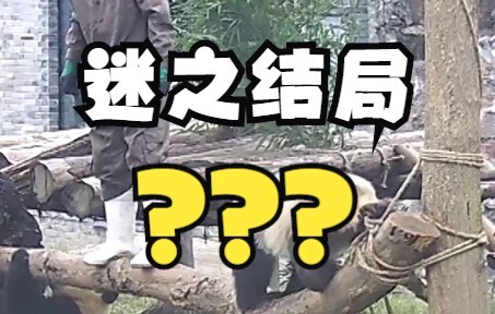 Tidak seorang pun dapat menebak akhir cerita kecuali Anda menontonnya sampai akhir!