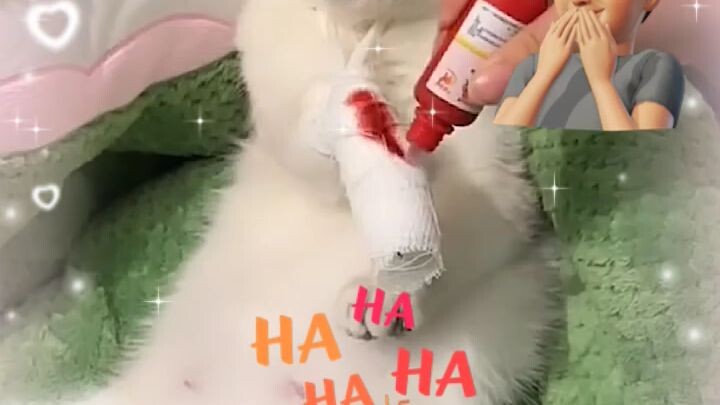 Obat merah