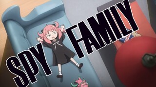 《 SPY×FAMILY 》 Weird pictures: No big brother allowed!