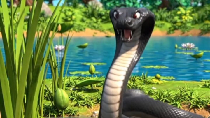Frogs and snake Funny videos