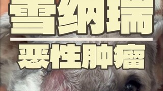 هذه المرة، لا أجرؤ على القول إن المشكلة بسيطة...