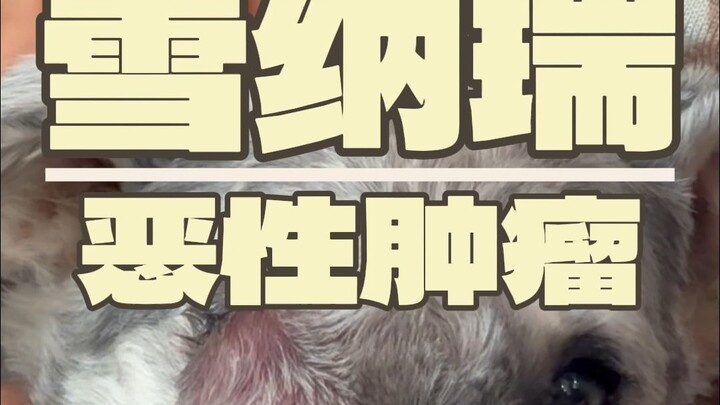 Kali ini aku tidak berani bilang masalahnya nggak besar lagi...