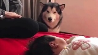 It Smiled, It Really Did...