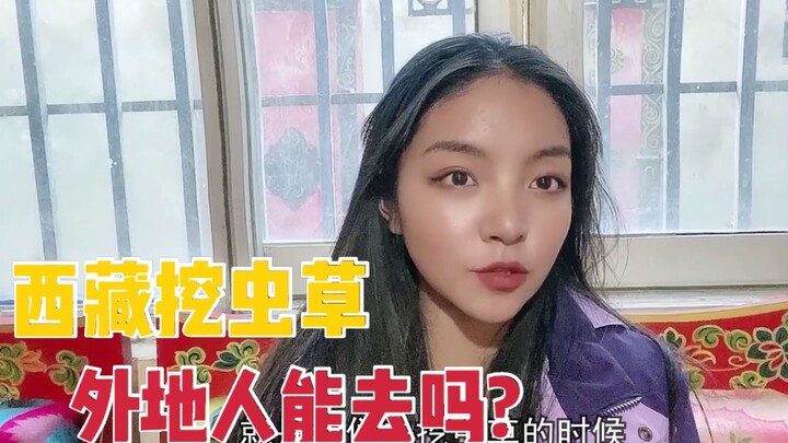 ทิเบตขุดถั่งเฉ้ารายได้เดือนละล้าน? คนท้องถิ่นหยุดงาน 1 เดือนเพื่อขุด แล้วคนต่างถิ่นทำไมไม่ไป?