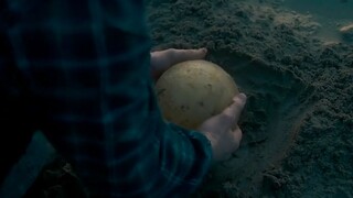 A man found a mysterious round egg on the beach, took it home to hatch, and it caused disaster for t