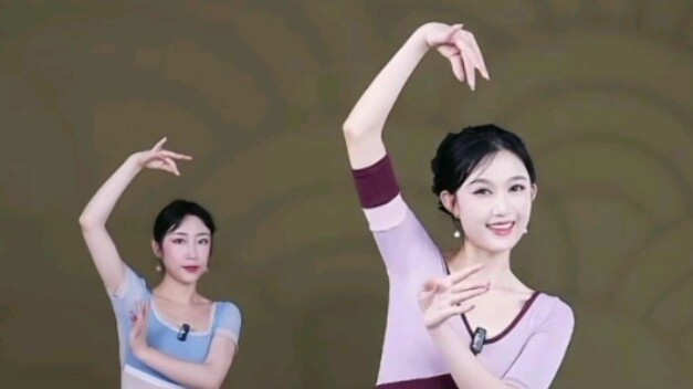 That Year's Flowers Bloomed and the Moon Was Full Han Hua's Chinese Dance for Beginners