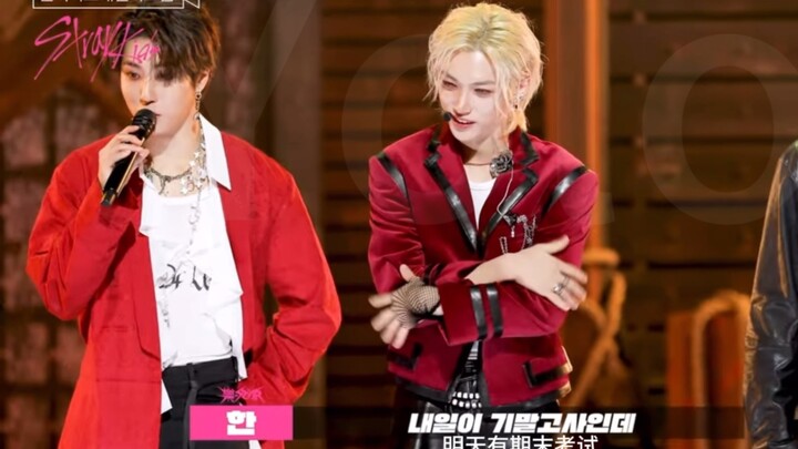 和2567说话全都被拍进官方物料是什么感觉｜这辈子都逃不开你们straykids了