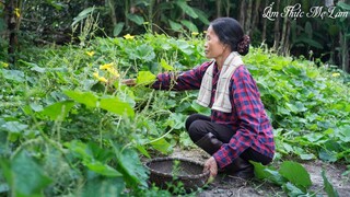 Về nhà đi con ăn bữa cơm rau đạm bạc mẹ nấu ( A Simple Meal By Mom ) I Ẩm Thực Mẹ Làm