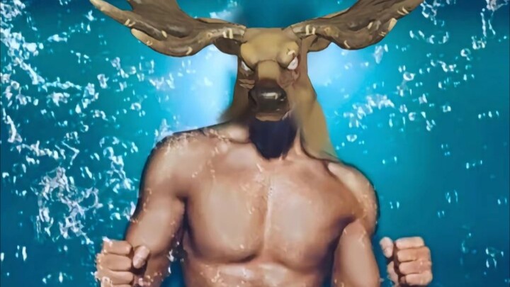 ความดุดันแบบหมาป่าของลู่โถวถูกเผยออกมาแล้ว!