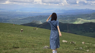 Cruel and incisive critiques of photographic works in the comment section!