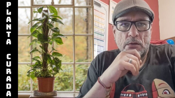 PLANTA CURADA : ESPÍRITO GUARDIÃO Tajá, Jiboia | encantados | piaga | taja | Série Proteção #03