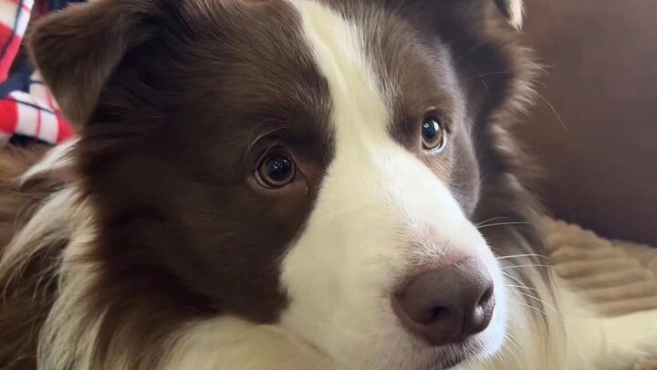 Facial Appearance Summary: You’ve been eating a bit too much.