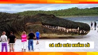 Cá sấu siêu khổng lồ và những loài động vật kinh hoàng nhất thật may là chúng đã tuyệt chủng