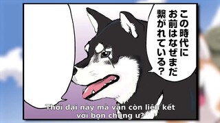 Ngày Tận Thế Với Chú Chó Shiba Của Tôi EP 1 [Sub Việt]