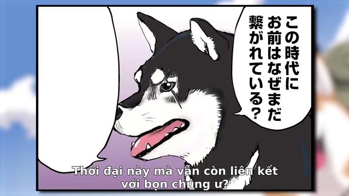 Ngày Tận Thế Với Chú Chó Shiba Của Tôi EP 1 [Sub Việt]