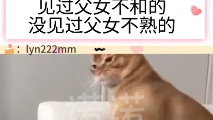 เคยเห็นพ่อลูกไม่ลงรอยกัน แต่ไม่เคยเห็นพ่อลูกที่ไม่สนิทกัน