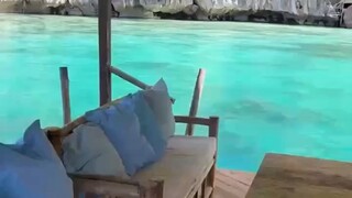 真正想幹的大事，連神明都不要講，安靜地做，成功了再說。