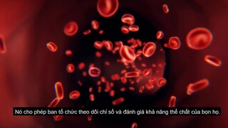 Chúa Tể Học Đường - Season 1 _ The God Of HighSchool _ Tóm Tắt Anime Hay p2