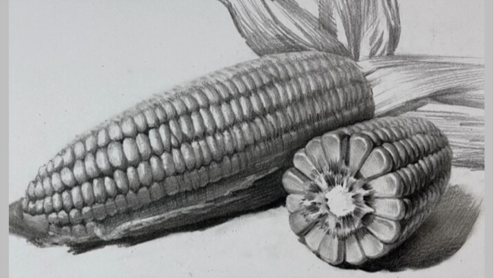 [Vẽ tĩnh vật chì] Dễ dàng học cách vẽ bắp ngô cho người mới bắt đầu