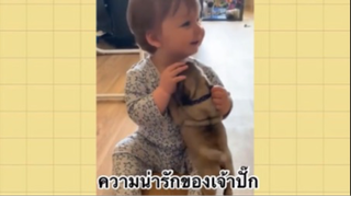 เพื่อนตัวน้อย สัตว์เลี้ยงแสนซน : ความน่ารักของเจ้าปั๊ก