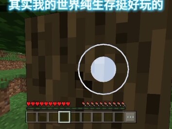 Actually, pure survival in Minecraft is pretty fun!