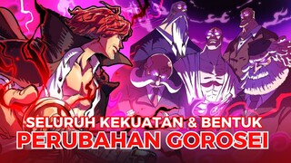 SELURUH KEKUATAN DAN WUJUD ASLI PARA GOROSEI DI ONE PIECE