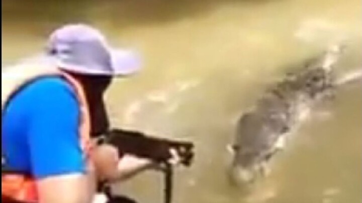 Dùng súng săn tiêu diệt con cá sấu đã giết người, nhớ xem phần giới thiệu nhé